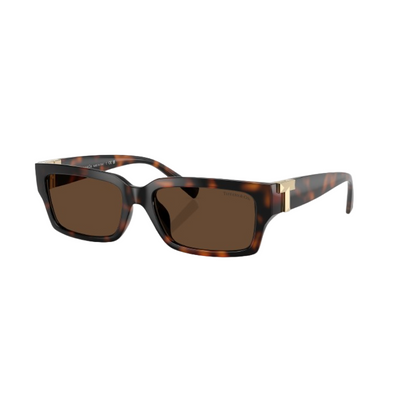 Tiffany TF4226U Unisex Sunglasses