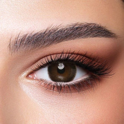 Bella One Day-CEDAR 10 Lenses