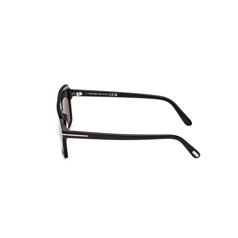 Tom Ford TF1176/S Men's Sunglasses