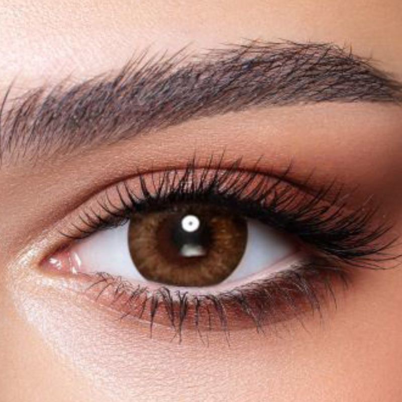 Bella One Day-10 Lenses-Almond Brown