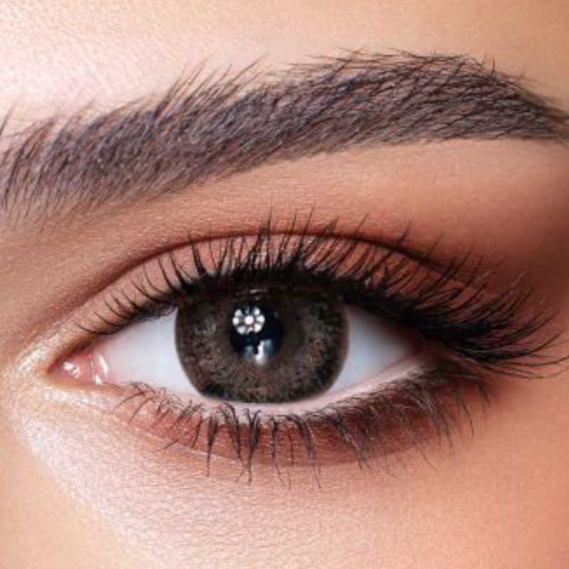 Bella One Day-10 Lenses-Ash Brown