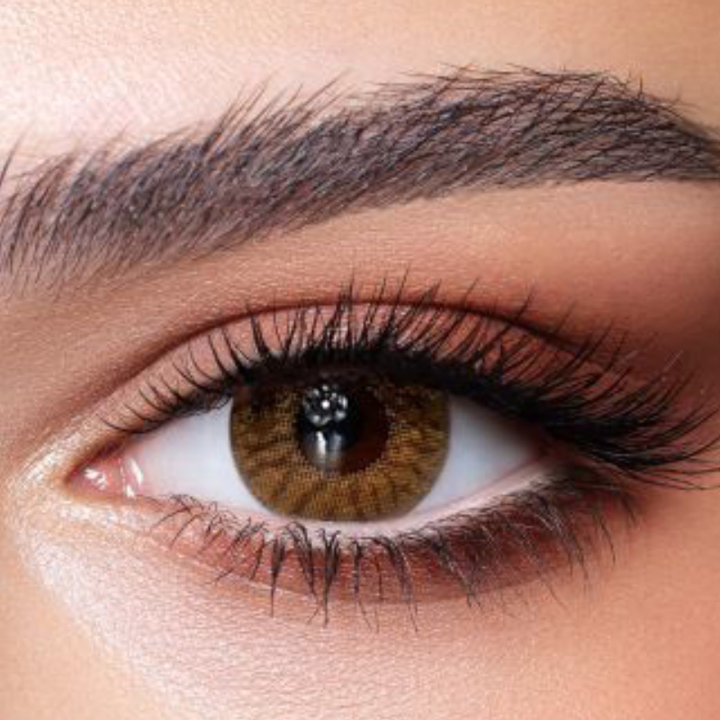 Bella One Day-10 Lenses-Radiant Hazelnut