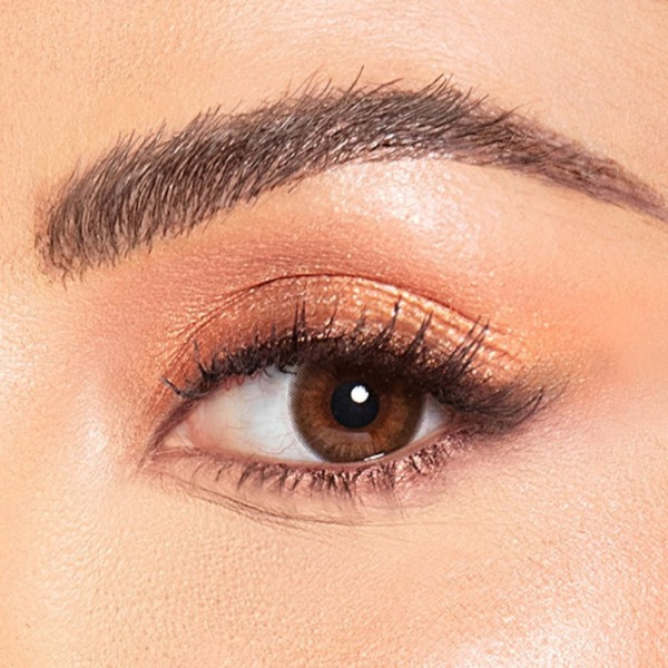 Amara-2 Lenses -Espresso