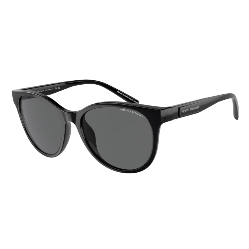 Armani Exchange AX4144SU Women's Sunglasses
