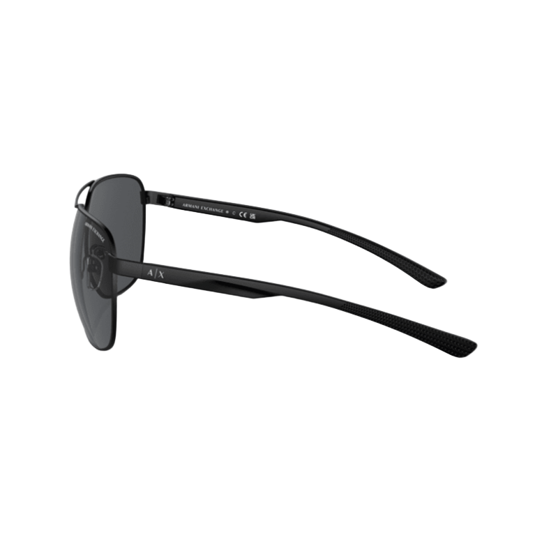 Armani Exchange AX2047S Women's Sunglasses