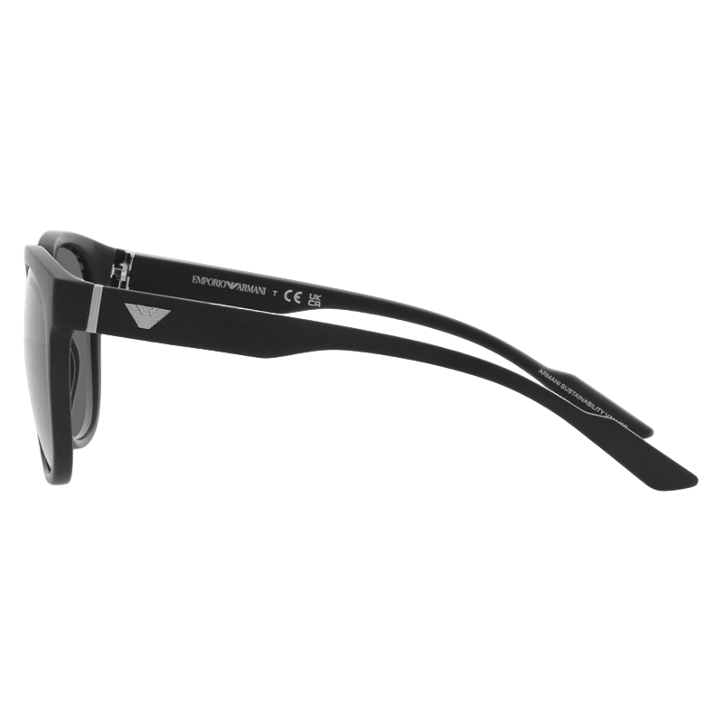 Emporio Armani EA4205 Men's Sunglasses