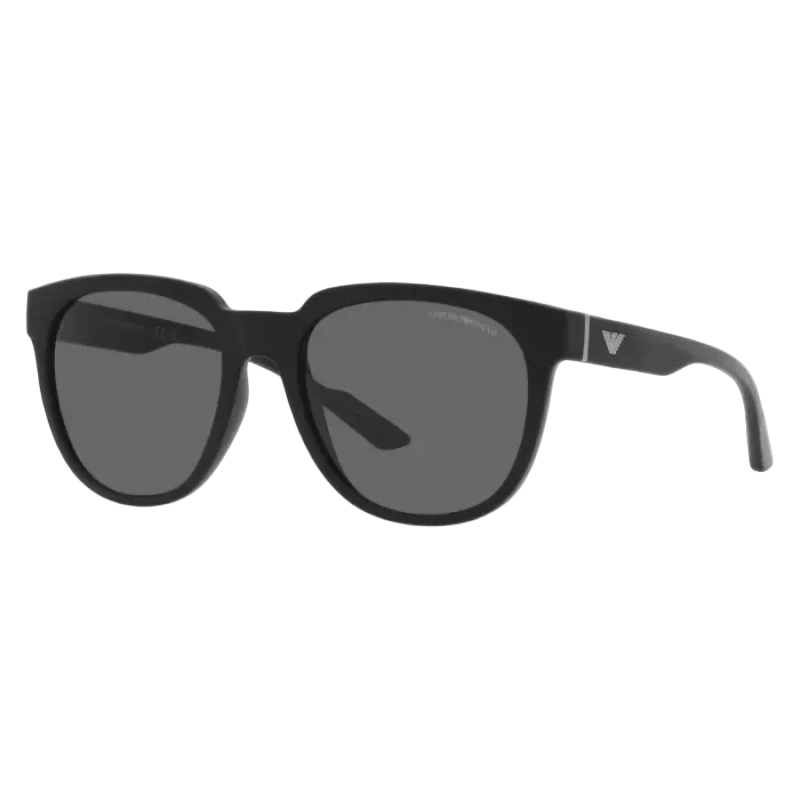 Emporio Armani EA4205 Men's Sunglasses