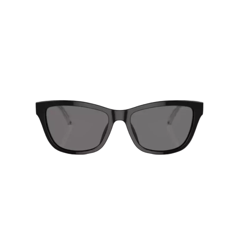 Emporio Armani EA4227U Women's Sunglasses