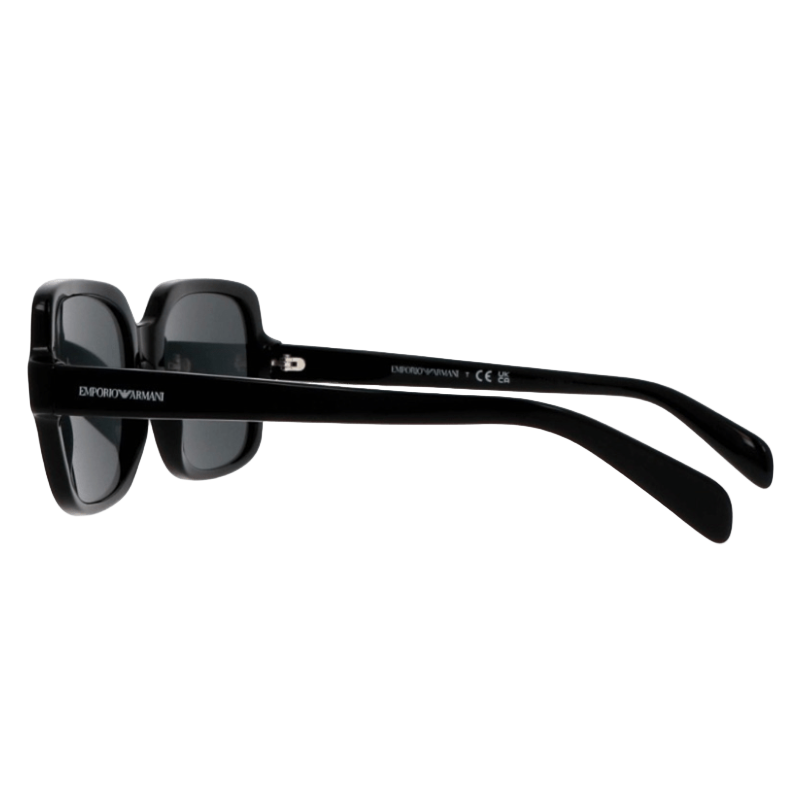 Emporio Armani EA4195 Women's Sunglasses