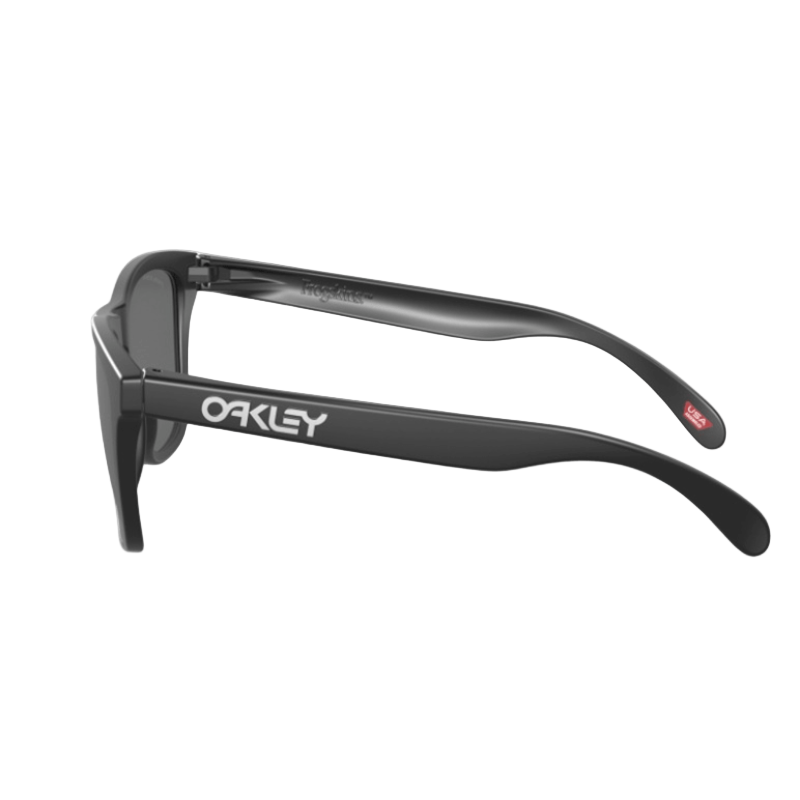 Oakley Frogskins OO9013 Men's Sunglasses