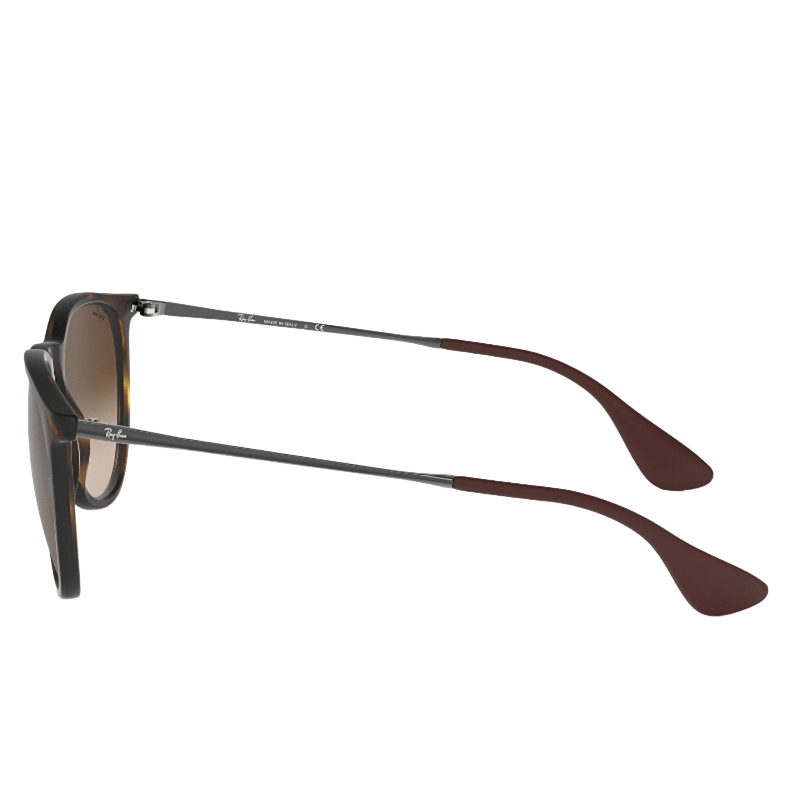 Ray-Ban Erika RB4171 Unisex Sunglasses