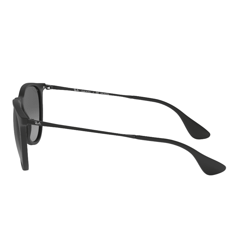 Ray–Ban Erika RB4171 Sunglasses