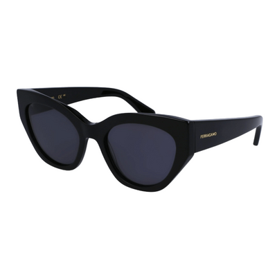 Salvatore Ferragamo Oval SF1107S Women's Sunglasses