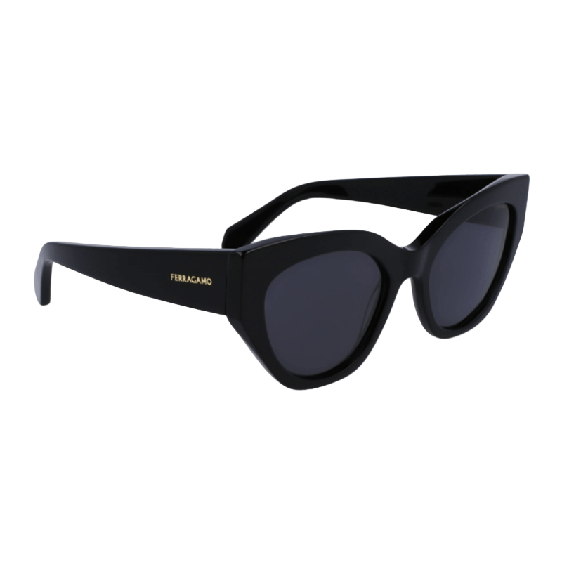 Salvatore Ferragamo Oval SF1107S Women's Sunglasses