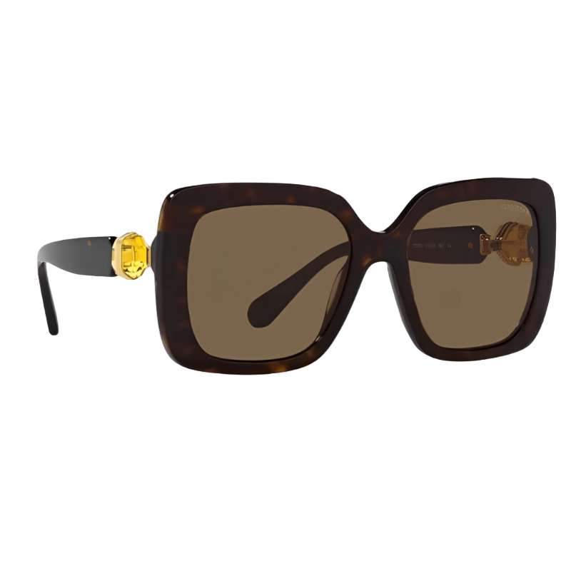 Swarovski SK6001 Women's Sunglasses