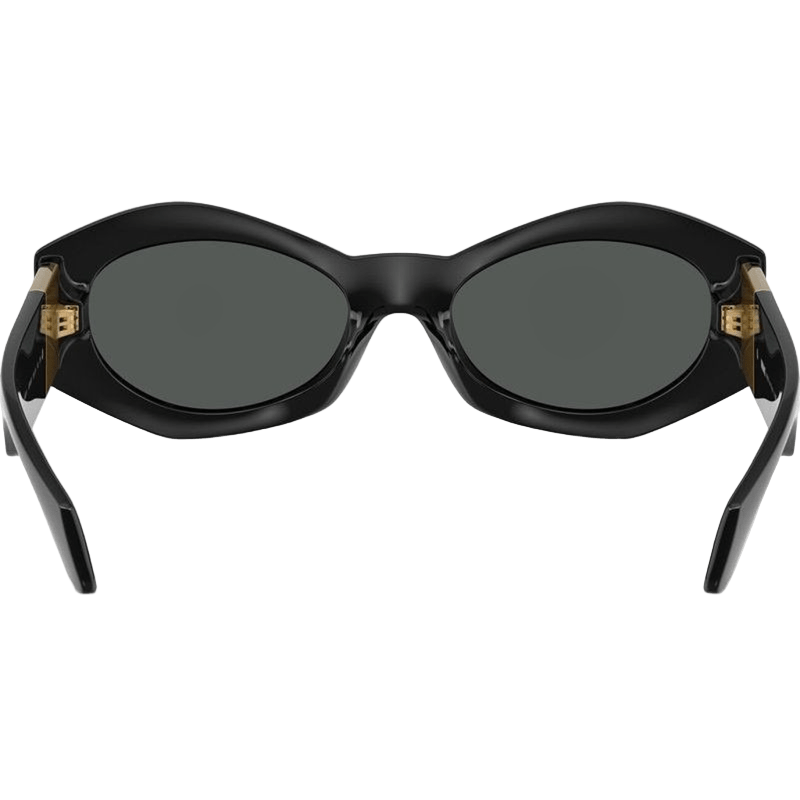 Versace VE4466U Women's Sunglasses