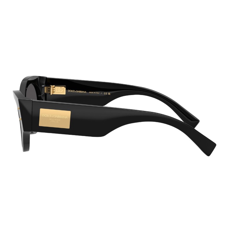 Dolce & Gabbana DG4480 Women's Sunglasses