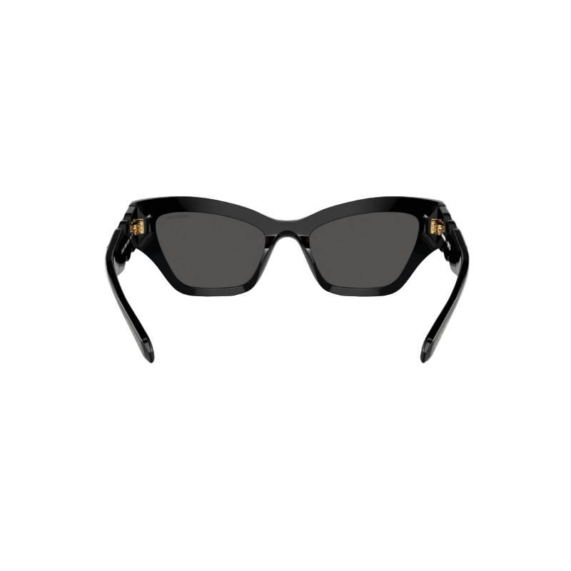 Swarovski SK6021 Women's Sunglasses
