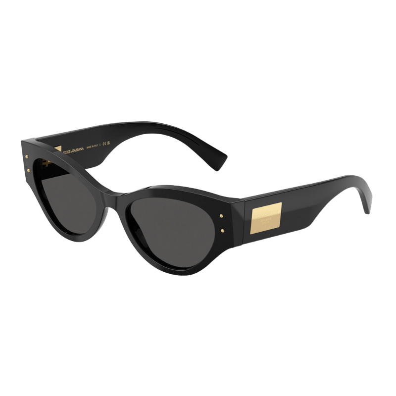 Dolce & Gabbana DG4480 Women's Sunglasses