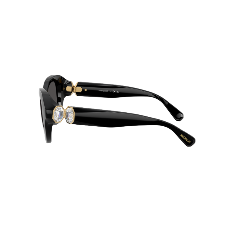 Swarovski Round-Style Sunglasses