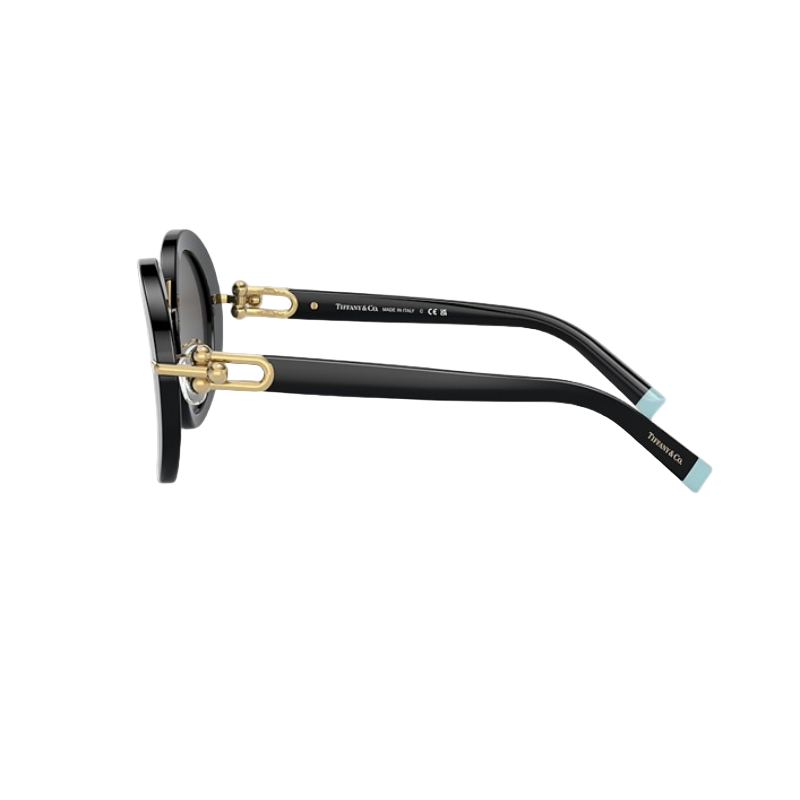 Tiffany TF4201 Women's Sunglasses