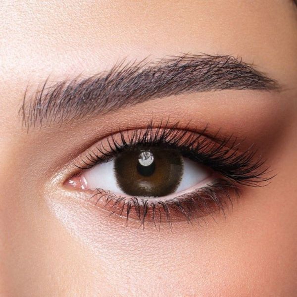 Bella One Day-CEDAR 10 Lenses